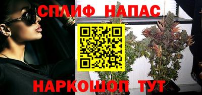 индика Гусь-Хрустальный