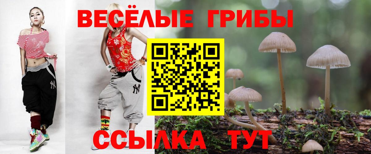 Галлюциногенные грибы ЛСД Нальчик