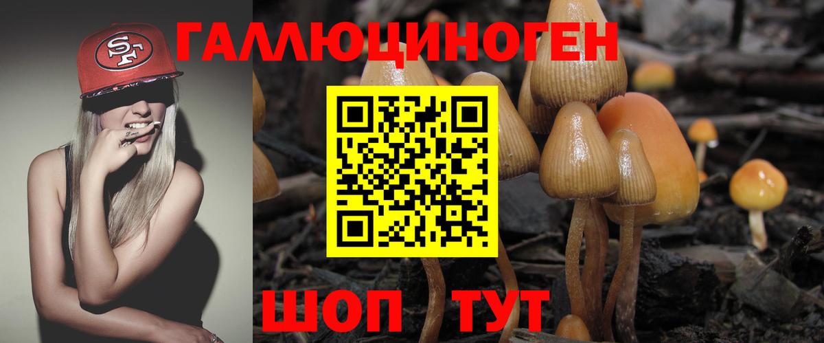 Галлюциногенные грибы мицелий  Вход с VPN  Нальчик 